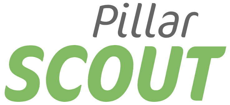 Pillar Scout
